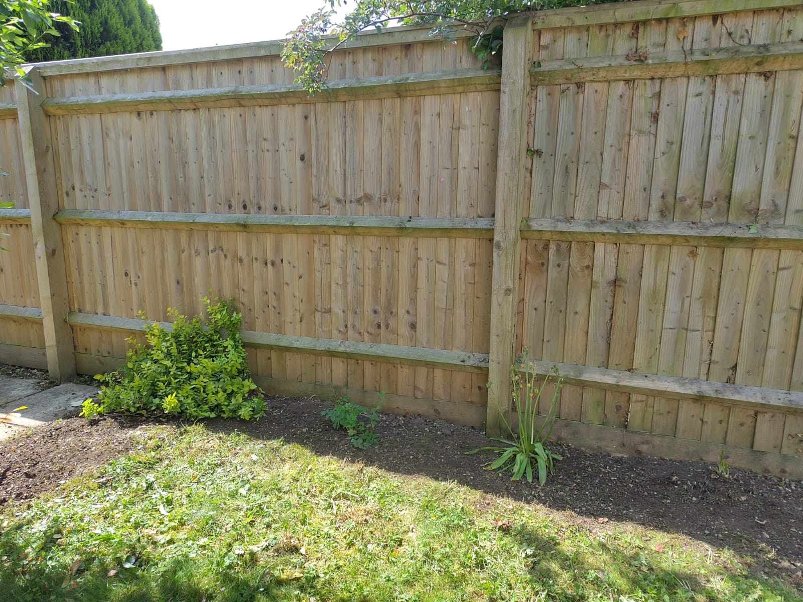 Garden Clearance