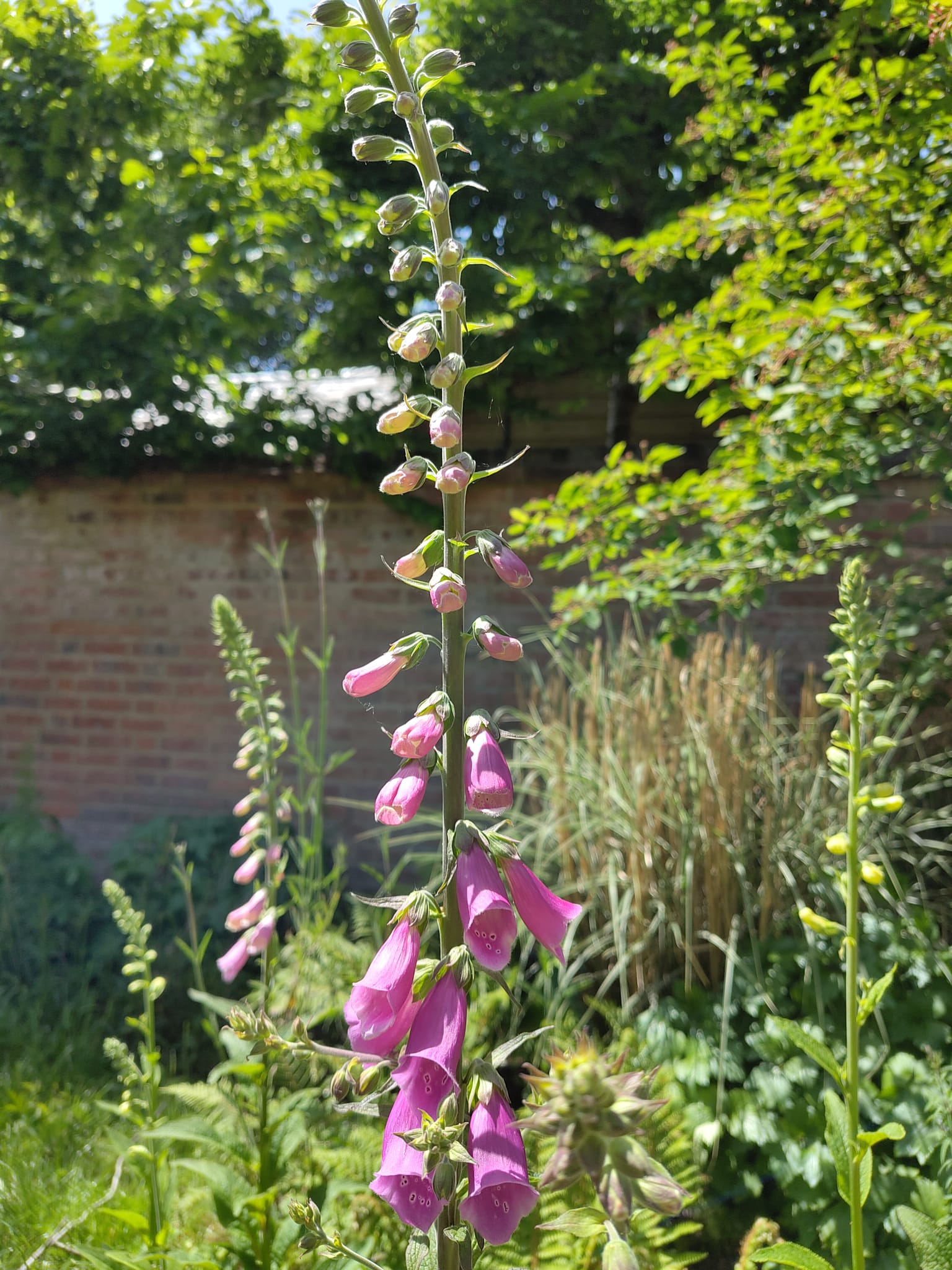 Garden Care Across Oxford & Oxfordshire: What We Do and Where We Work