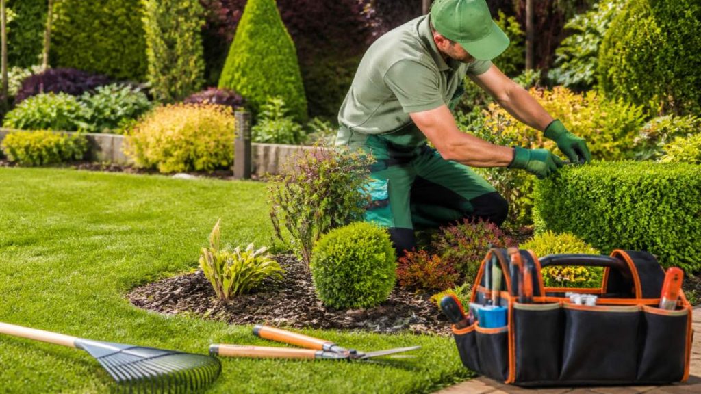 Cost of Monthly Garden Maintenance: 2026 Guide
