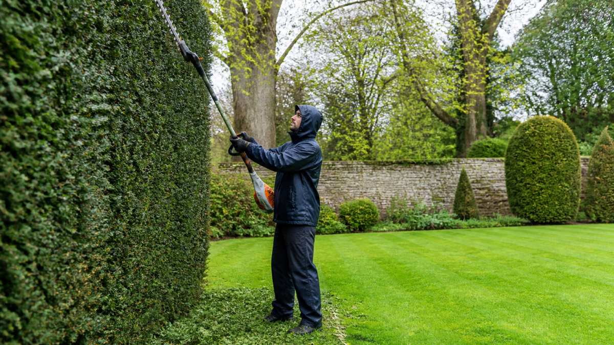 A professional gardener in weatherproof clothing trimming a tall hedge in a large, well-kept garden with mature trees and stone walling in the background