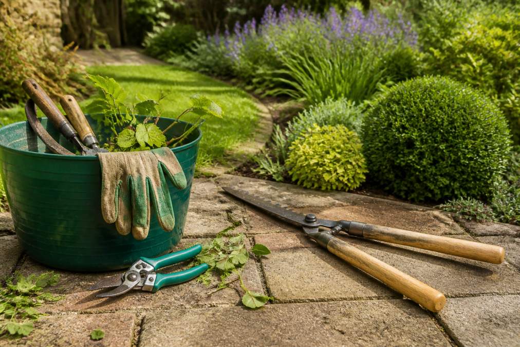 Hiring Reliable Garden Maintenance in Oxford: 2026 Guide