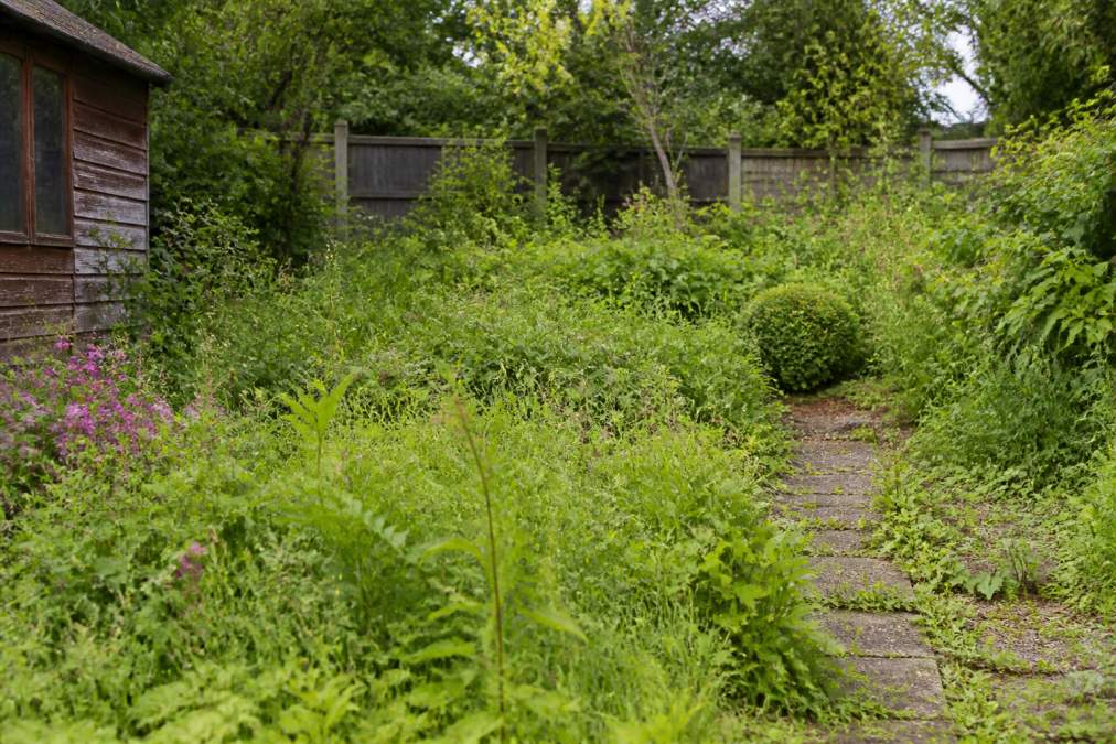 How to Manage Overgrown Garden Spaces: A 2026 Guide