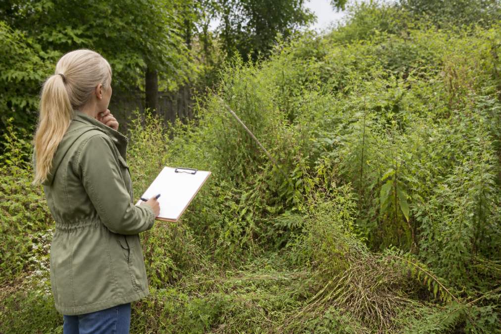 A person standing at the edge of a heavily overgrown garden, holding a clipboard and looking thoughtfully at the tangle of weeds and shrubs, with a notebook and pen visible, natural daylight