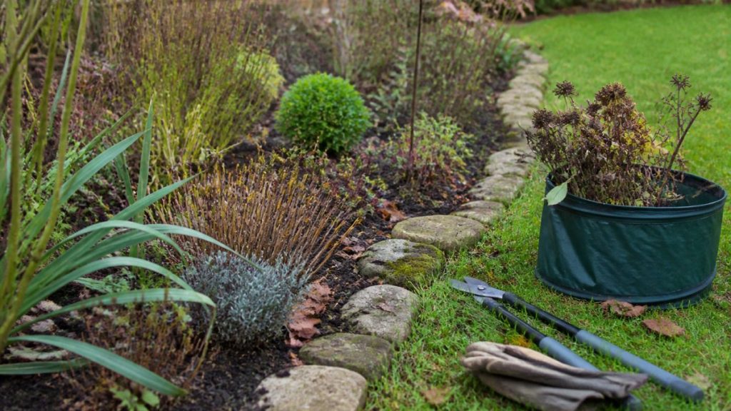 How to Prepare Garden Borders for Winter: A Step-by-Step Guide