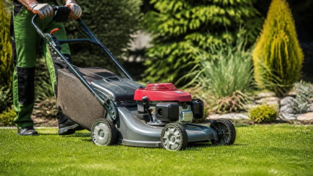 Regular Lawn Mowing Services Oxfordshire: 2026 Guide