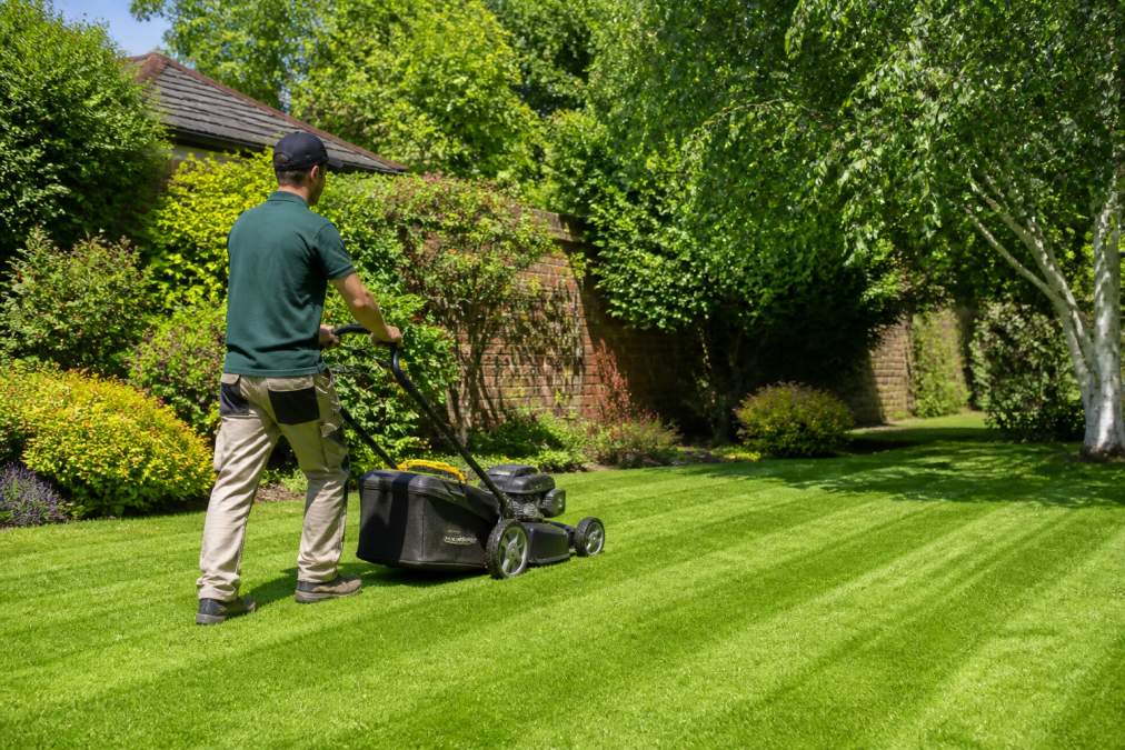 A professional gardener in Oxfordshire mowing a lush green lawn with a petrol mower on a sunny day, with a neat striped finish visible