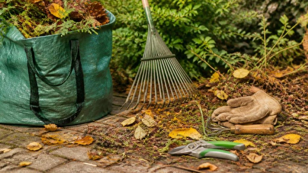 Seasonal Garden Clean Up Services: What to Expect