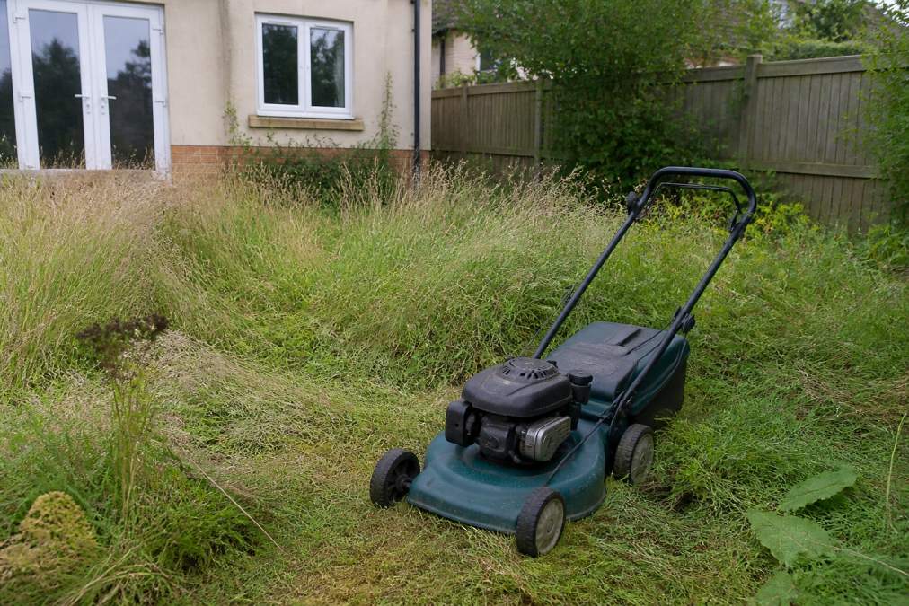 Signs of Unreliable Garden Maintenance Services