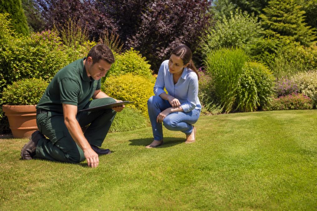 A professional gardener in work clothes examining a lawn with a clipboard, while a homeowner stands beside them in a bright garden setting
